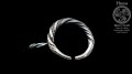 Czarna Wileka - Silver Twisted Ring 2 FB.jpg